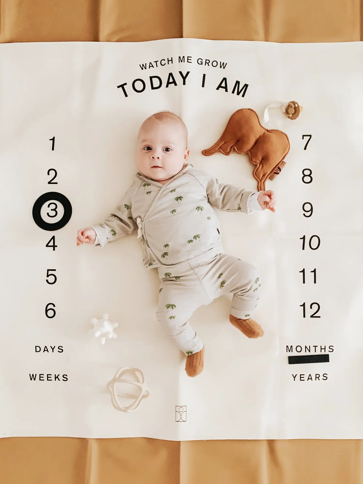 The perfect baby shower gift – a milestone blanket to cherish memories