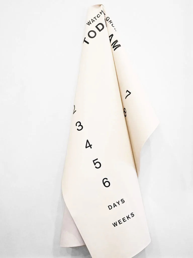 Personalized milestone blanket – perfect for newborn photography