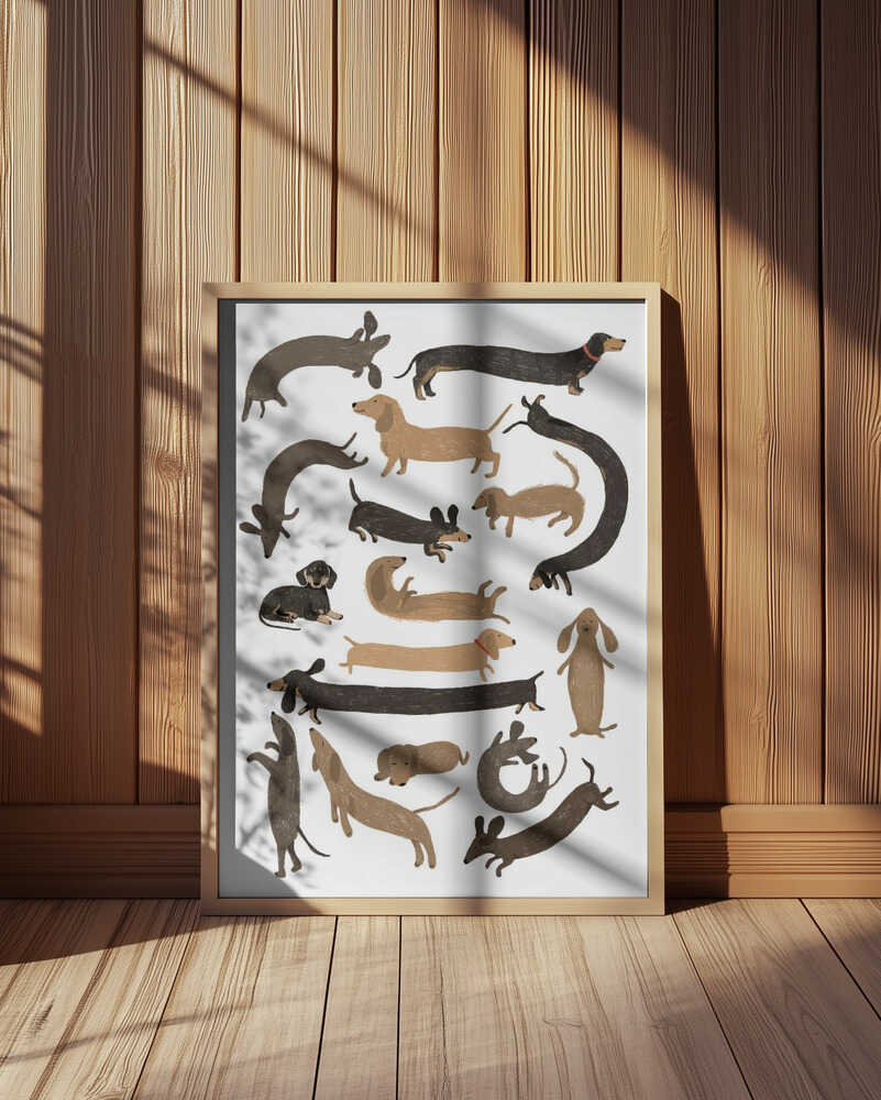 Dachshund Poster