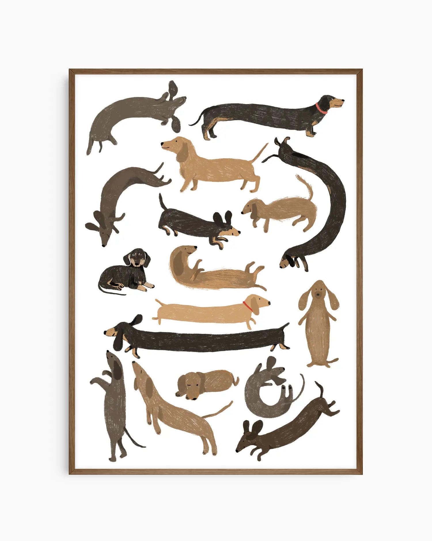 Framed artwork of various dachshund illustrations on a white background