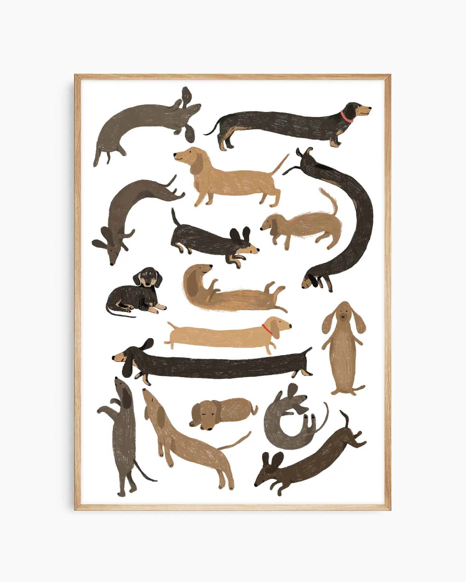 Framed artwork of various dachshund illustrations on a white background